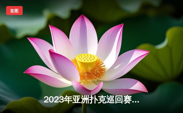 2023年亚洲扑克巡回赛澳门站：中国选手李明夺冠，创下赛事最高奖金记录